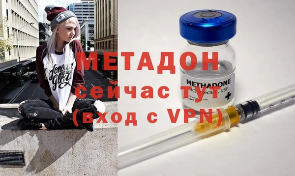 прущие грибы Абдулино
