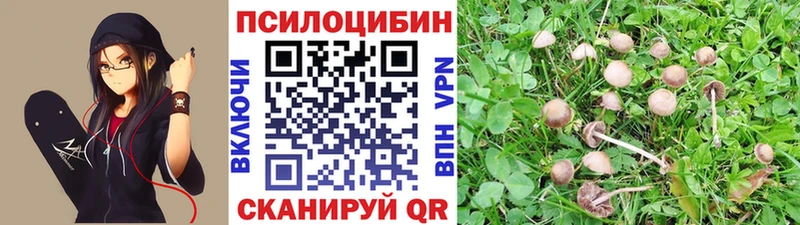 omg ссылка  хочу   Сычёвка  Галлюциногенные грибы Magic Shrooms 